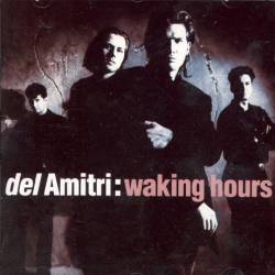 Del Amitri : Walking Hours